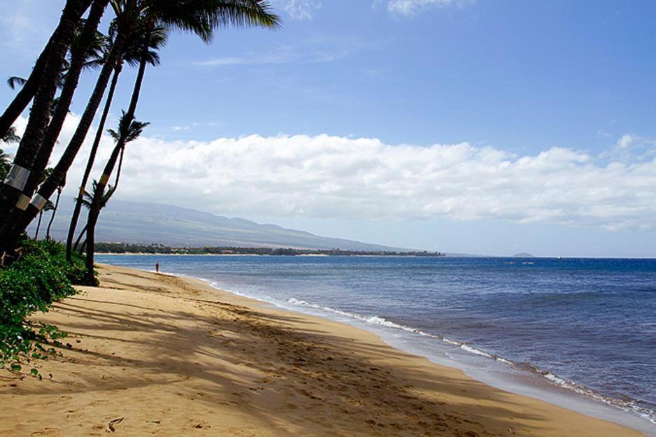 Kealia Resort 203 Kihei Eksteriør billede