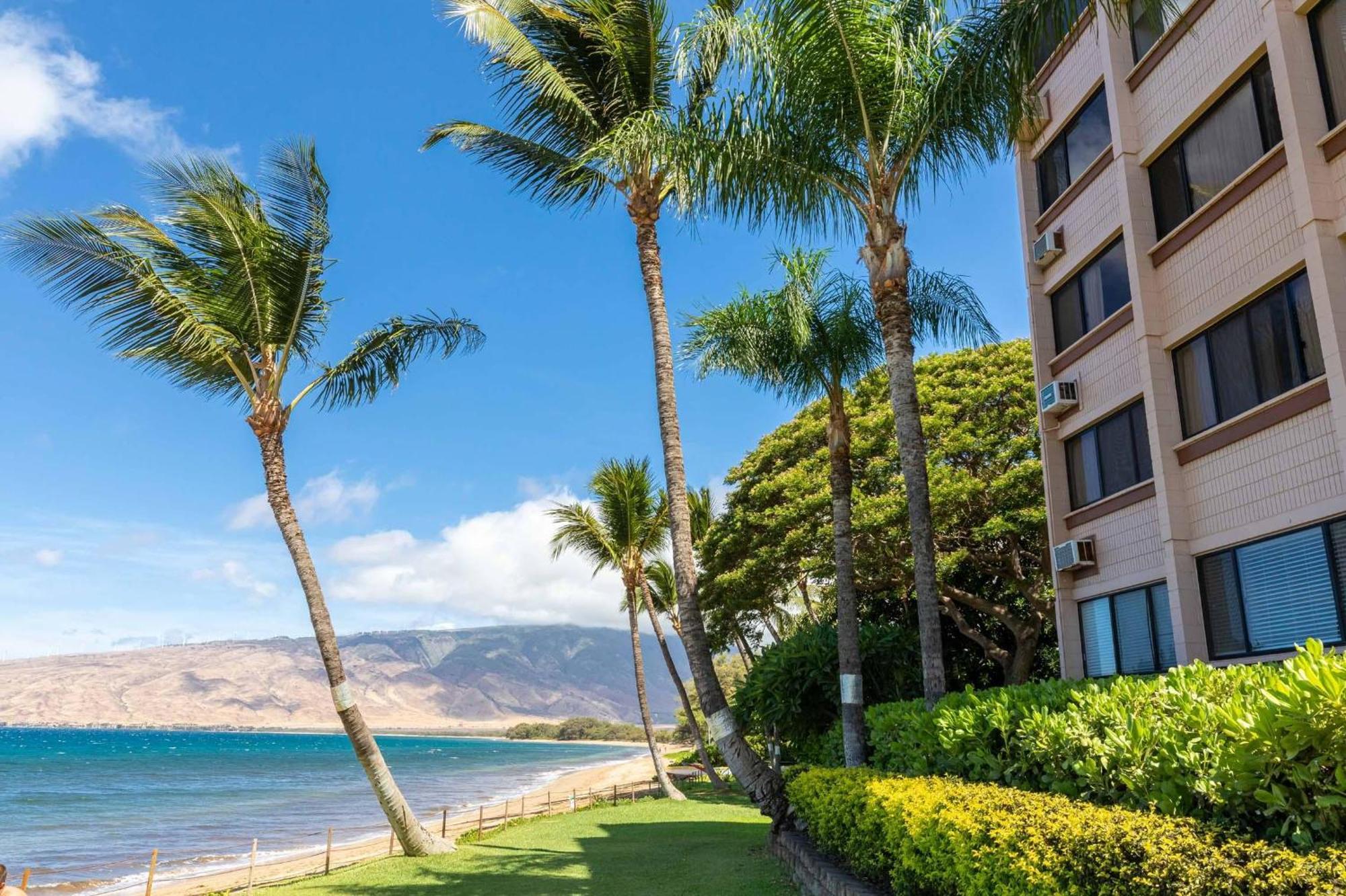 Kealia Resort 203 Kihei Eksteriør billede