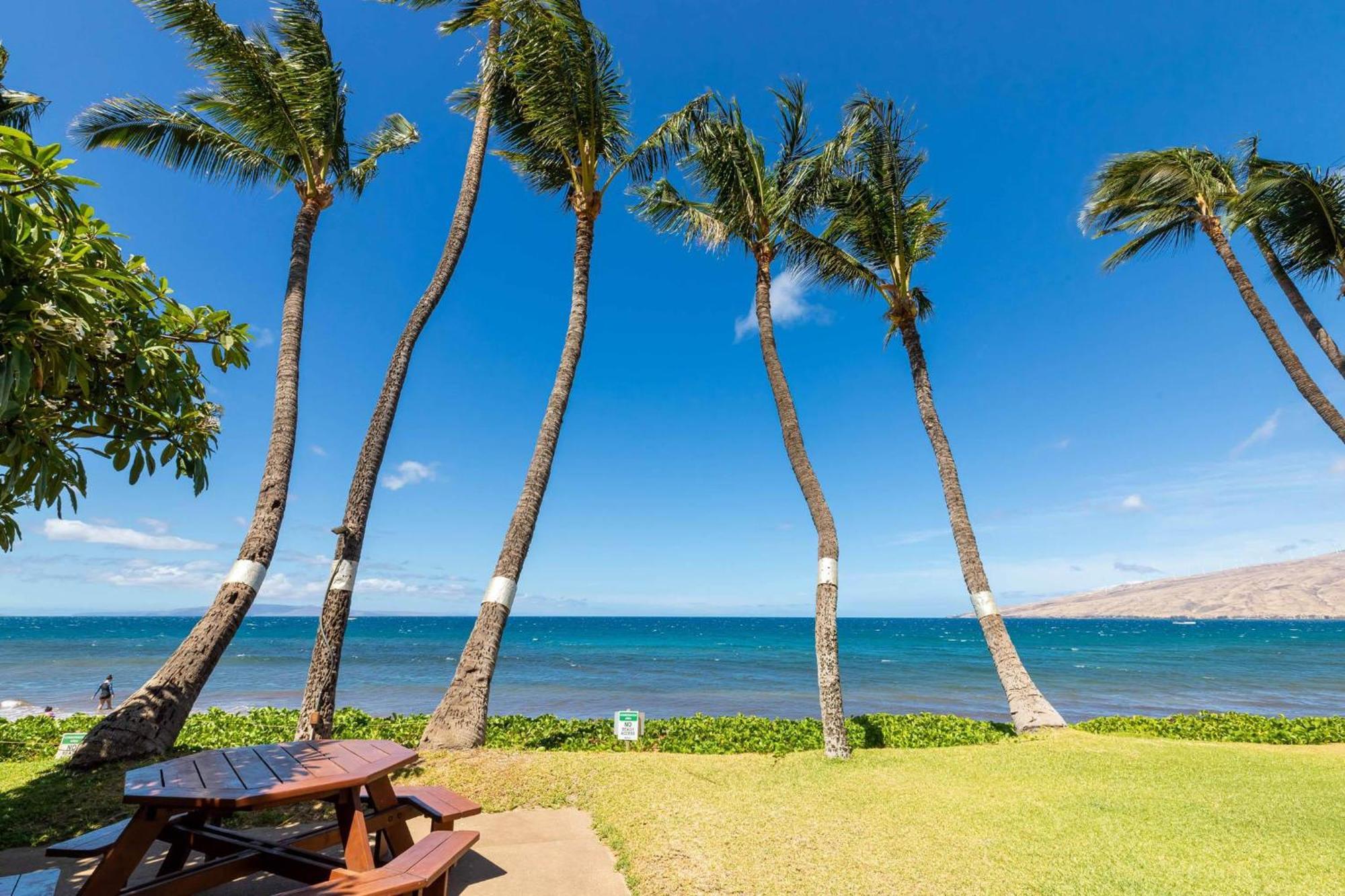 Kealia Resort 203 Kihei Eksteriør billede